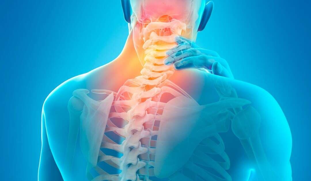 Neck, Spine and Back