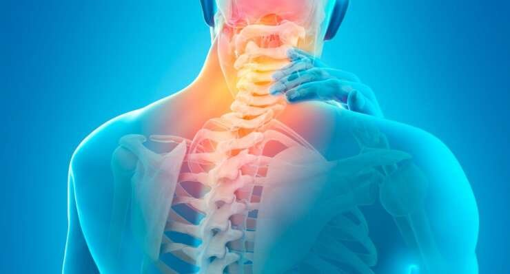 Neck, Spine and Back